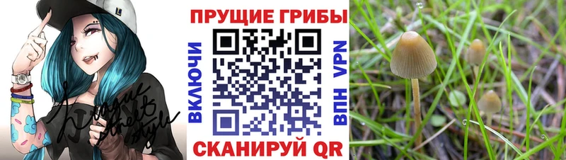 мега сайт  Лесосибирск  Псилоцибиновые грибы ЛСД 