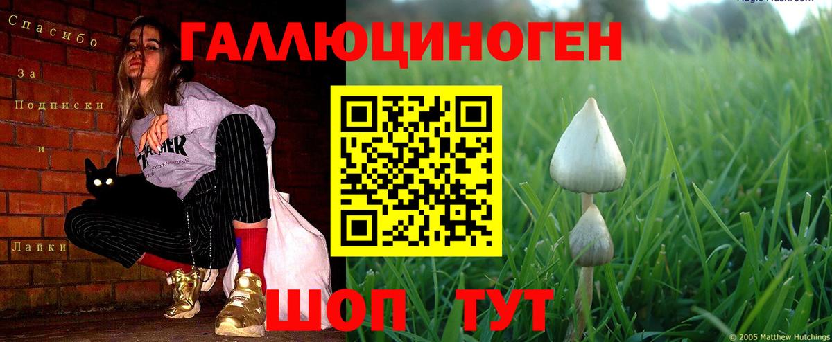 Псилоцибиновые грибы Magic Shrooms Лесосибирск