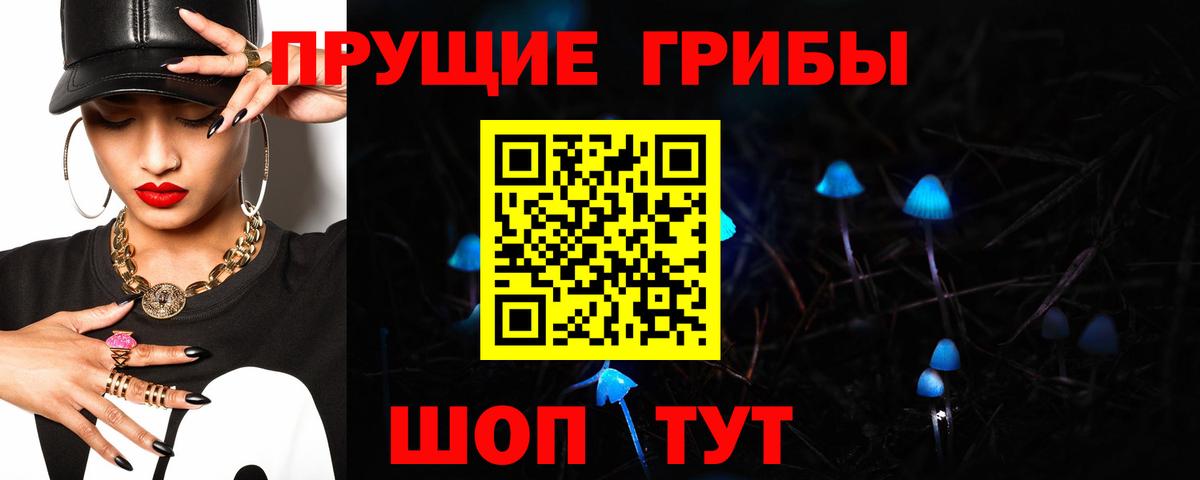Галлюциногенные грибы Psilocybe  Галлюциногенные грибы Psilocybe  наркошоп  Вход с VPN  Лесосибирск 